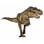 Diapozitive - Dinozauri