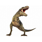 Diapozitive - Dinozauri