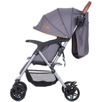 Carucior sport Chipolino April platinum