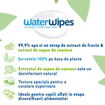 Servetele umede Water Wipes Soapberry, 12 pachete x 60 buc, 720 buc