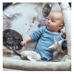 Salteluta cu arcada interactiva pentru copii si bebelusi, activitati cu jucarii senzoriale     Wolf Moonlight