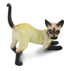 Pisica siameza - Collecta