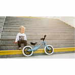 Lionelo - Bicicleta fara pedale, cu cadru din magneziu, Bart Goldie, 12 inch, Auriu