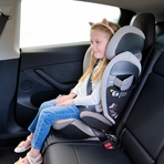 Protectie Bancheta Auto pentru Tesla Neagra
