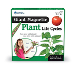 Ciclul vietii plantei - set magnetic