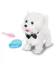 Catelusul plimbaret - Westie