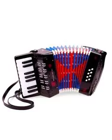 Acordeon mare - Negru