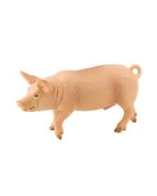 Purcel