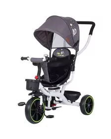 Tricicleta pentru copii cu sezut reversibil si copertina Chipolino Jetro platinum