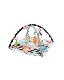 FISHER PRICE SALTEA MUZICALA 3 IN 1 CU CENTRU DE ACTIVITATI