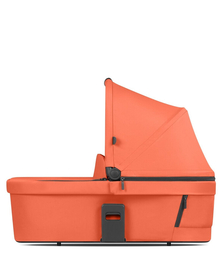 Landou Carrot Abc Design
