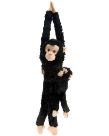 Maimuta care se agata Cimpanzeu cu pui