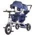 Tricicleta pentru copii gemeni Chipolino 2Play raven