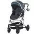 Carucior Chipolino Estelle 2 in 1 humus