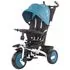 Tricicleta pentru copii cu sezut reversibil Chipolino Arena mist