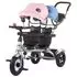 Tricicleta pentru copii gemeni Chipolino 2Play humus