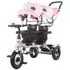 Tricicleta pentru copii gemeni Chipolino 2Play raven