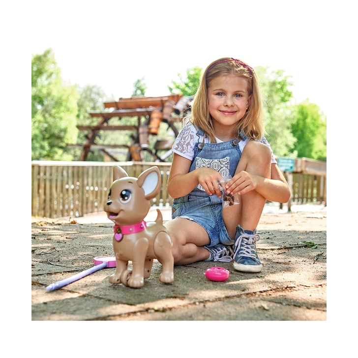 Jucarie Simba Caine Chi Chi Love Poo Puppy cu accesorii