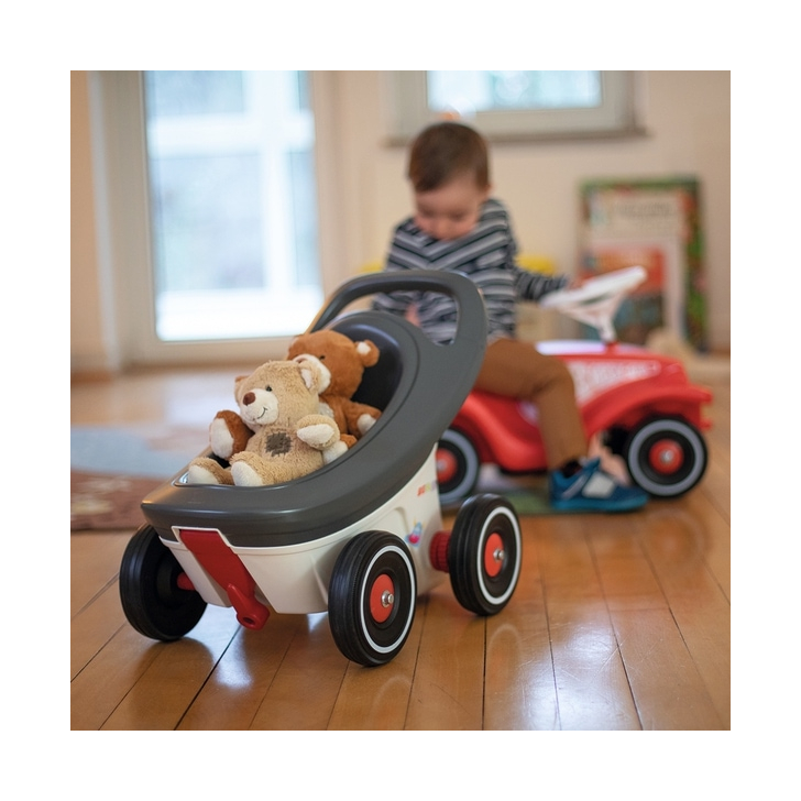 Carucior pentru papusi Big Buggy 3 in 1