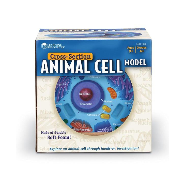Sectiunea celulei animale