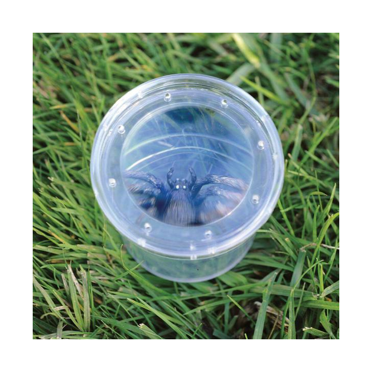 Borcan cu lupa pentru observarea insectelor