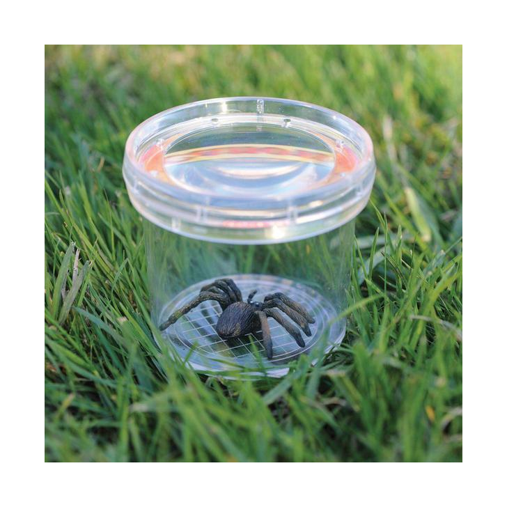 Borcan cu lupa pentru observarea insectelor