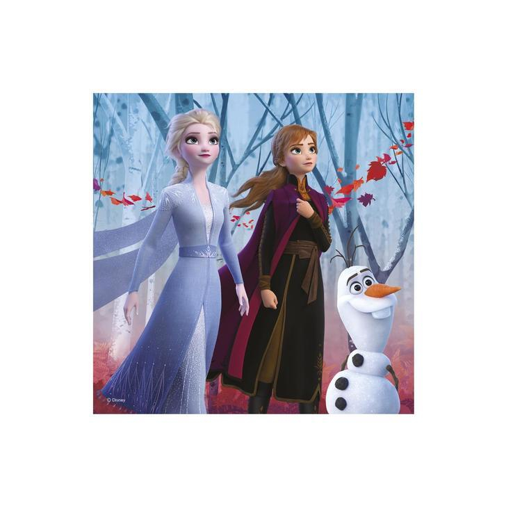 Puzzle 3 in 1 - Frozen II (3 x 55)