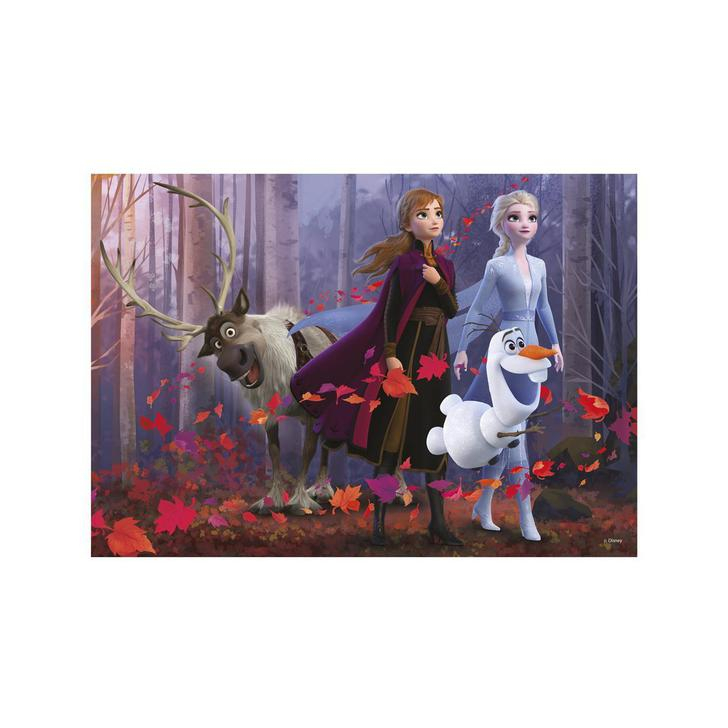 Puzzle - Frozen II (300 piese XL)