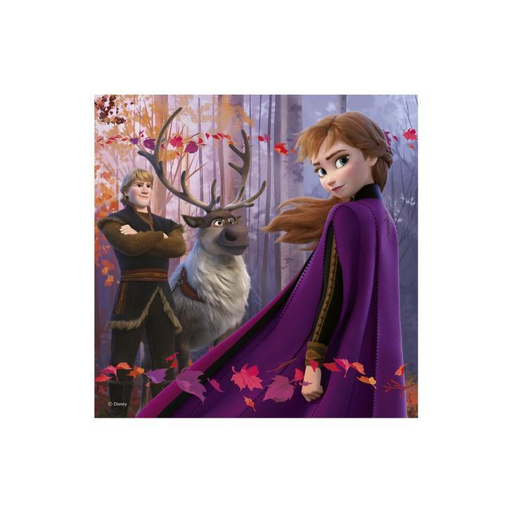 Puzzle 3 in 1 - Frozen II (3 x 55)