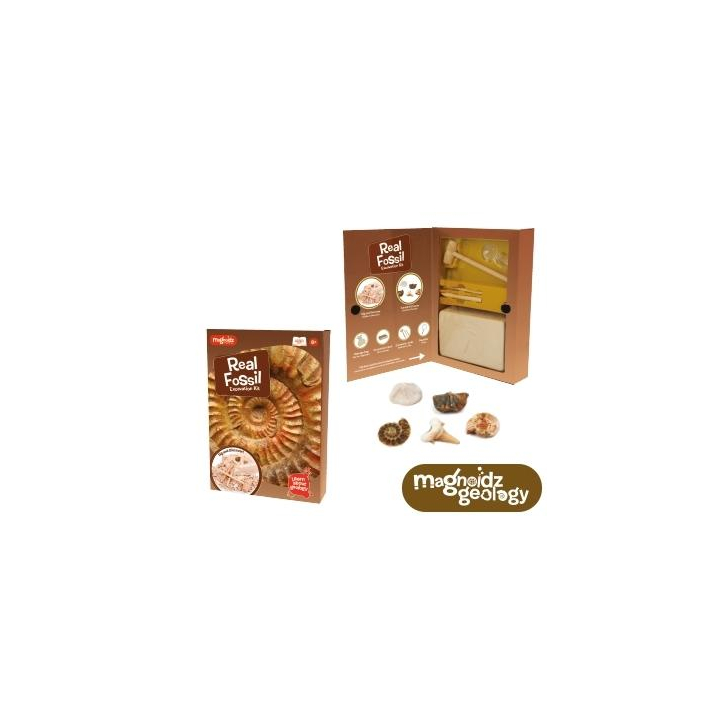Kit paleontologie - Descopera fosile