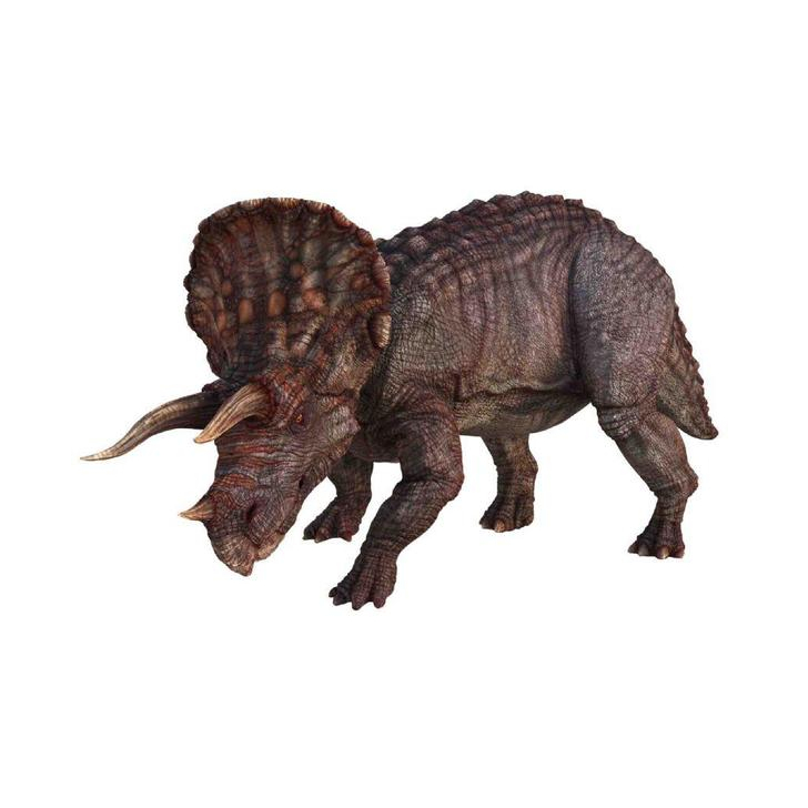 Diapozitive - Dinozauri
