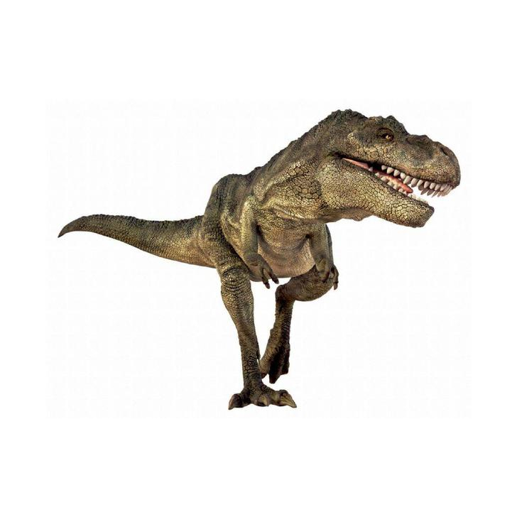 Diapozitive - Dinozauri