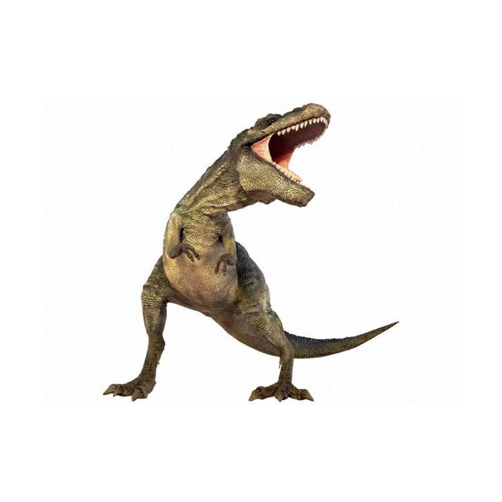 Diapozitive - Dinozauri