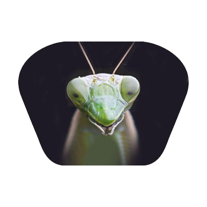 Proiector tip lanterna - Insecte