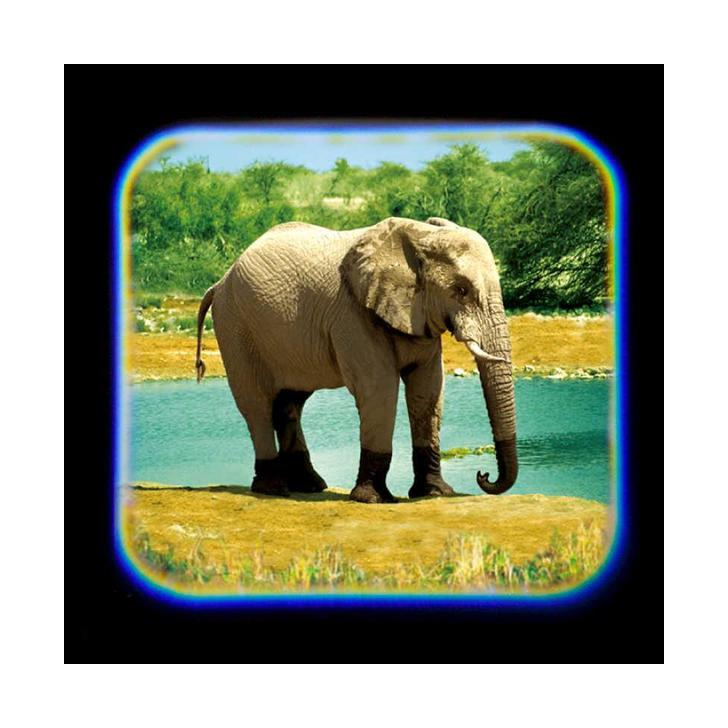 Proiector tip lanterna - Animale