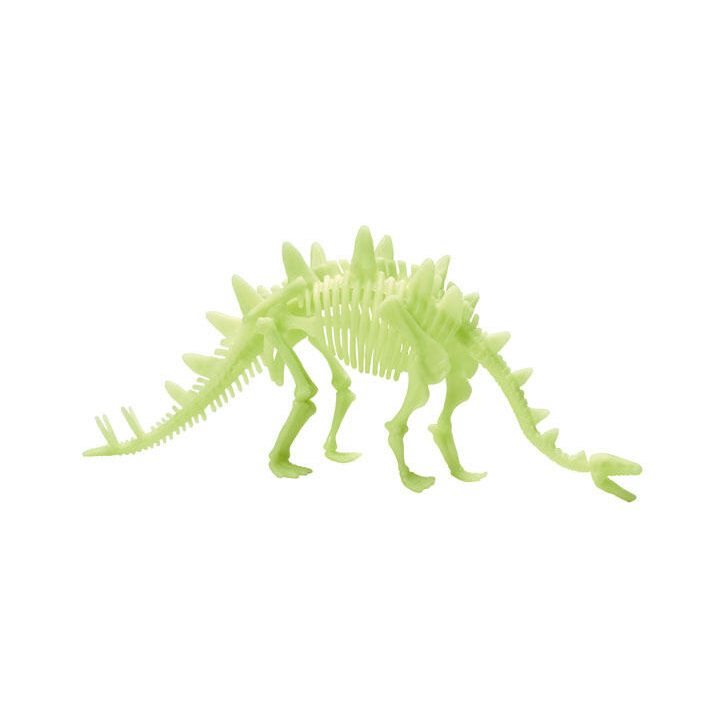 Schelet Stegosaurus reflectorizant