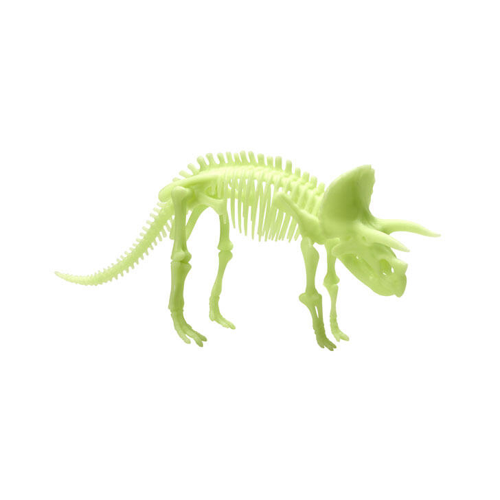 Schelet Triceratops reflectorizant
