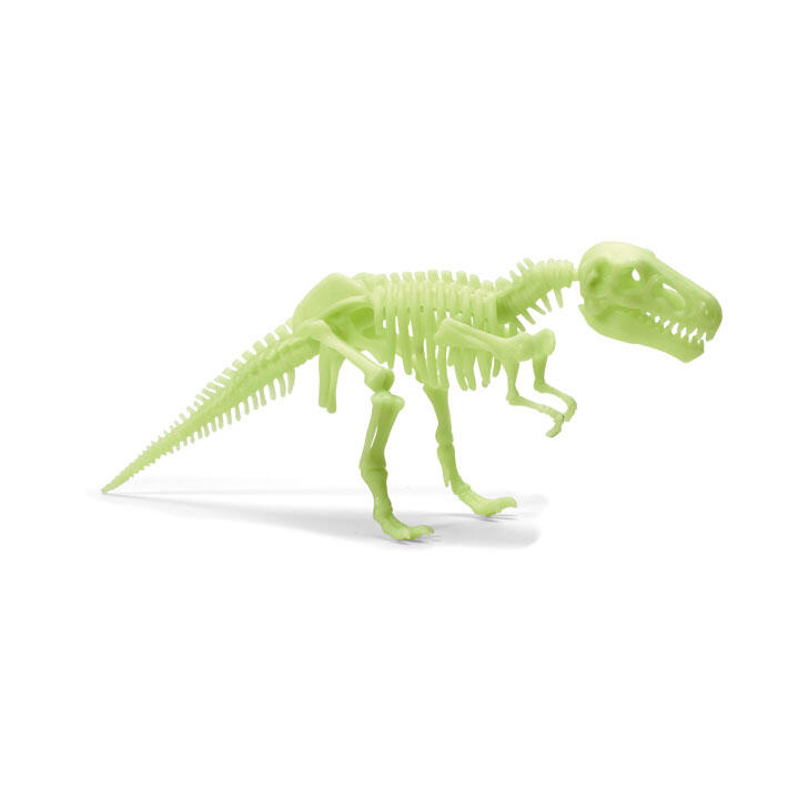 Schelet T-Rex reflectorizant