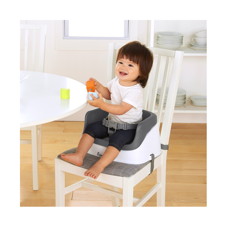 Ingenuity – Booster Toddler Slate