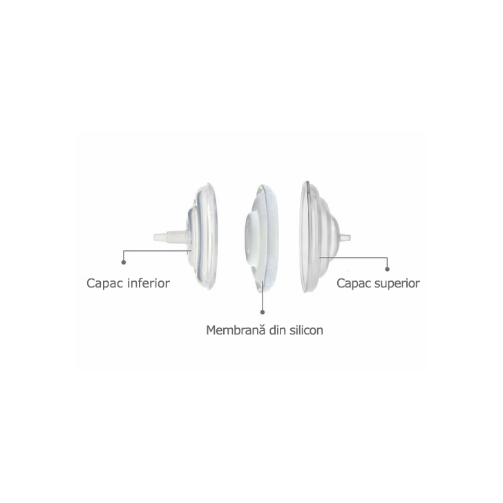 Accesorii pompa - Filtru protectie flux invers