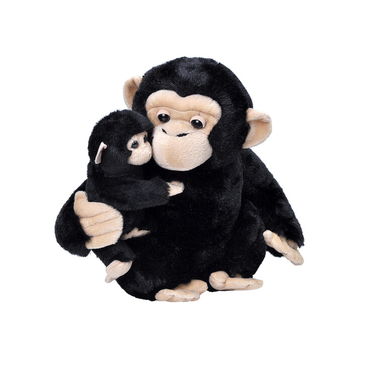 Mama si Puiul - Cimpanzeu