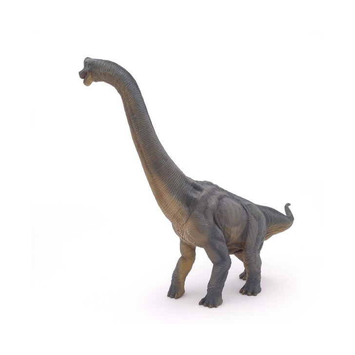 PAPO FIGURINA DINOZAUR BRACHIOSAURUS