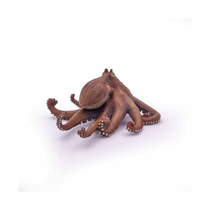 PAPO FIGURINA CARACATITA