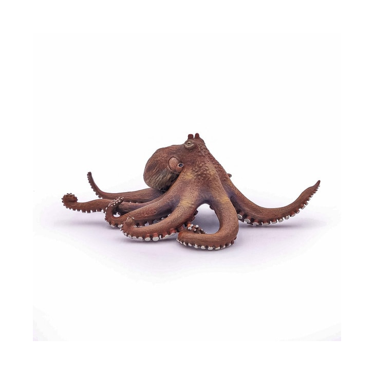 PAPO FIGURINA CARACATITA