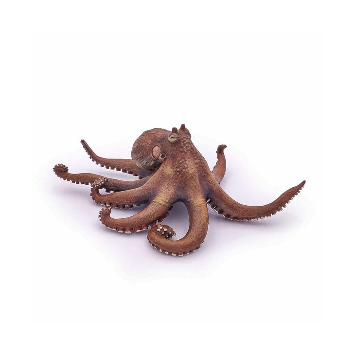 PAPO FIGURINA CARACATITA