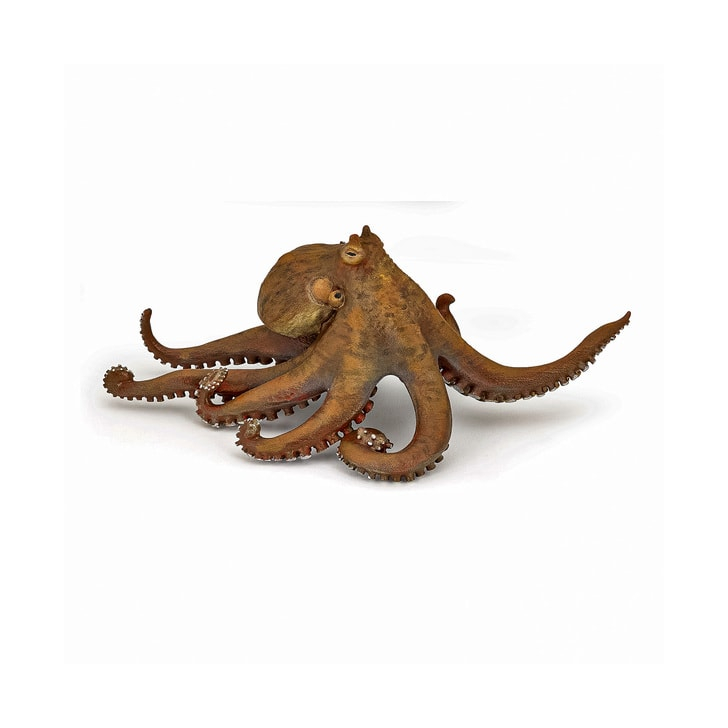 PAPO FIGURINA CARACATITA