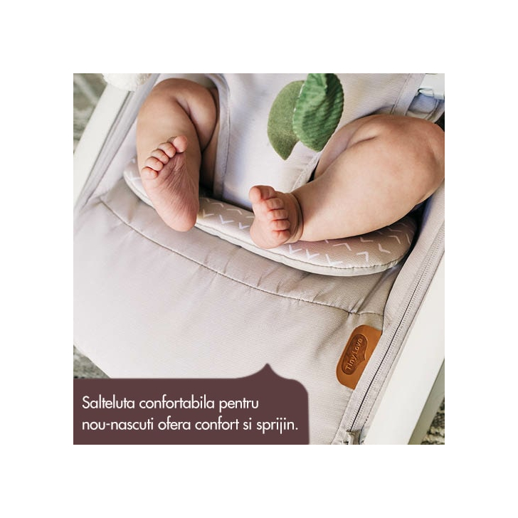 Balansoar si sezlong 2 in 1 Tiny Love Boho Chic, 0 luni +, Bej