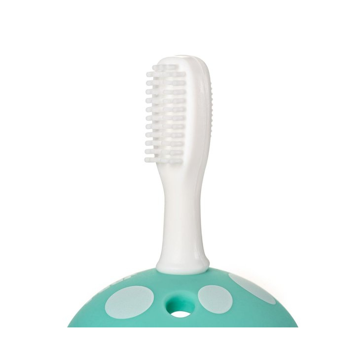 Set periute de dinti din silicon pentru antrenament BabyCare REER 79253