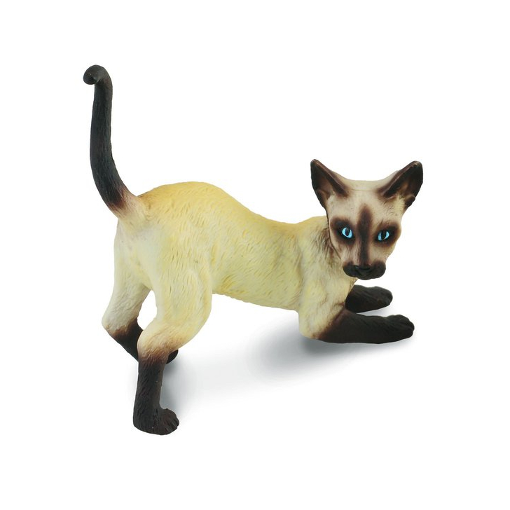 Pisica siameza - Collecta