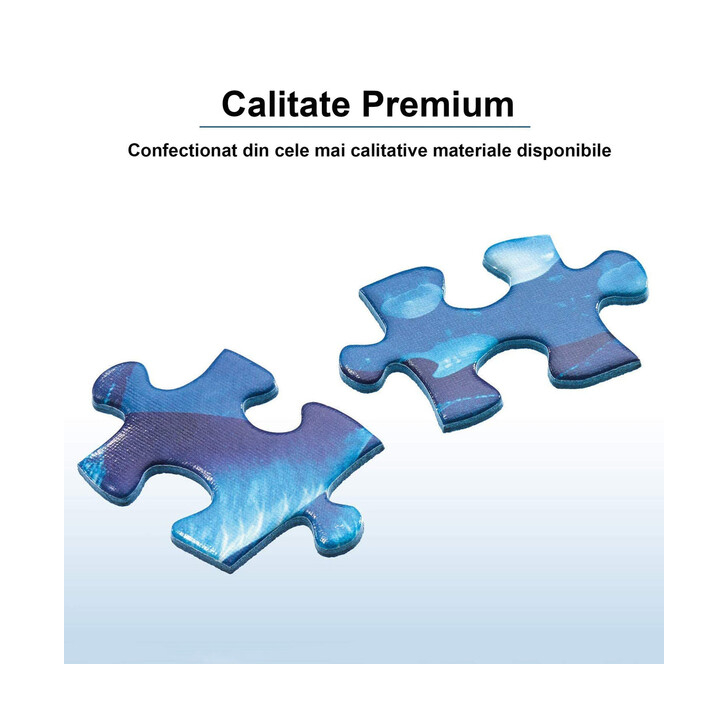 PRIMUL MEU PUZZLE UTILAJE AGRICOLE, 2/4/6/8 PIESE